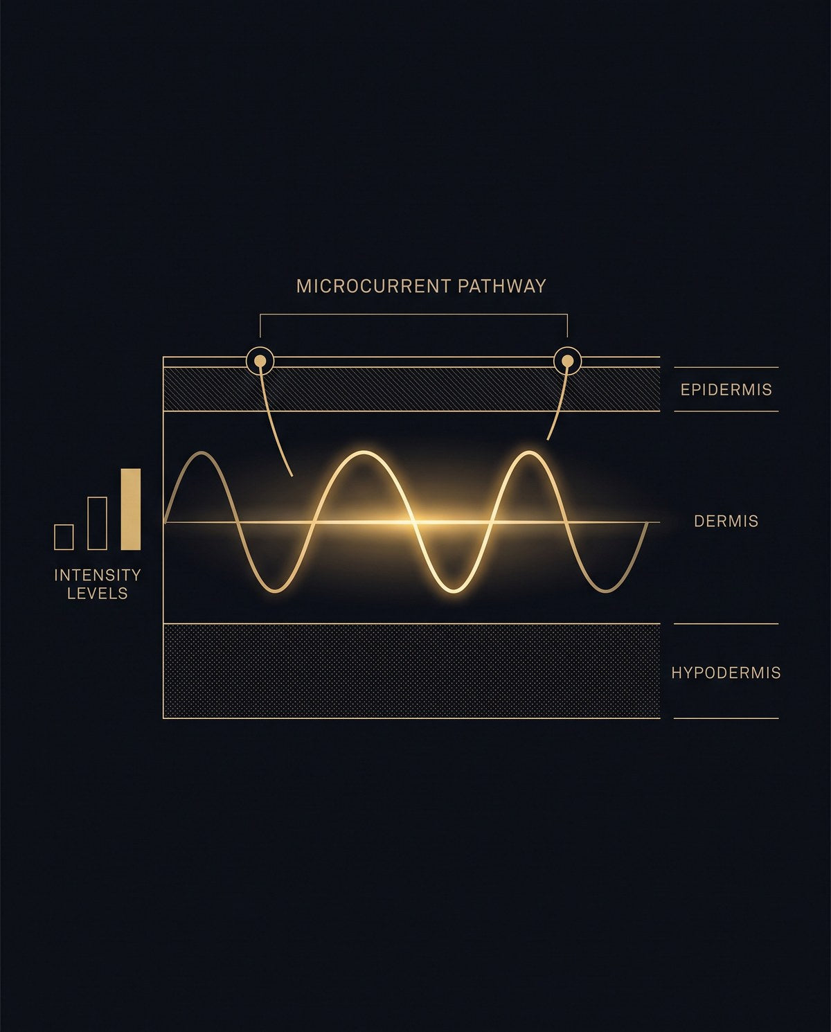 EMS Microcurrent